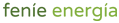 FE